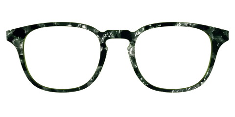 The Olive Pearl Tortoise