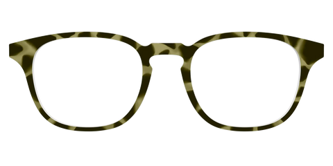 The Olive Tortoise