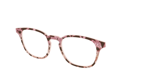 The Pale Peach Pearl Tortoise