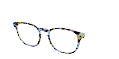 The Positano Tortoise