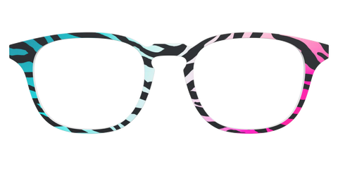 The Rainbow Zebra