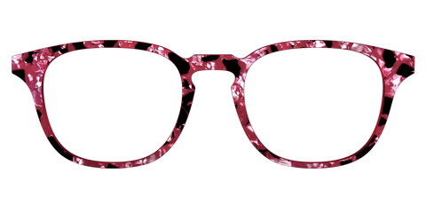 The Raspberry Pearl Tortoise