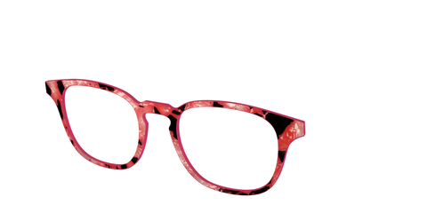 The Red Agate Pearl Tortoise