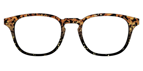 The Rustic Gold Leaf Tortoise
