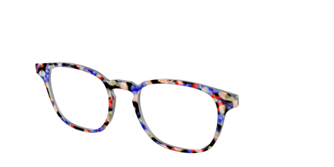 The Tempo Tortoise