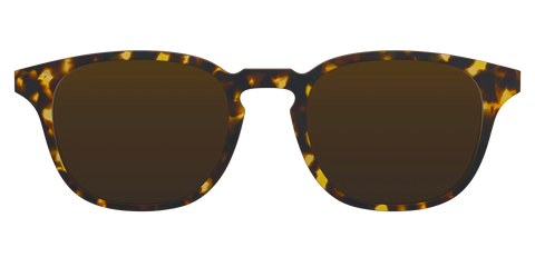 The Polarized Tortoise Sun Top