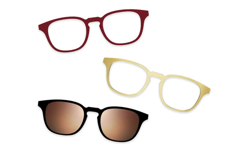 Tortoise - Set