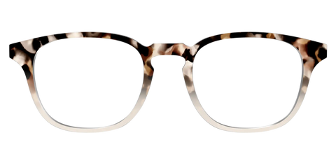 The Vanilla Latte Tortoise