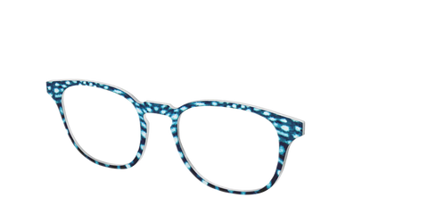 The Whale Shark Spots
