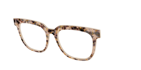 The Almond Tortoise with Gold Streaks