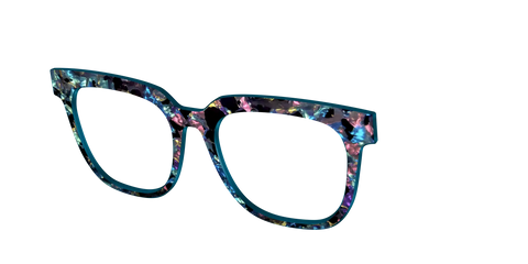 The Black Prismatic Pearl Tortoise