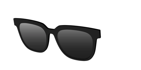 The Polarized Black Sun Top