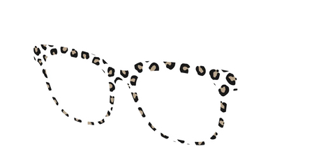 The Classic Cheetah