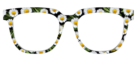 The Delicate Daisies