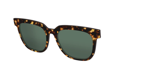 The Non-Polarized Green Tortoise Sun Top