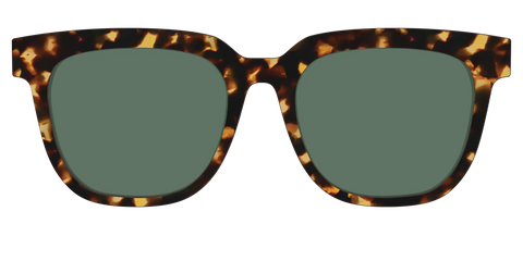 The Non-Polarized Green Tortoise Sun Top