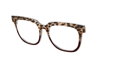 The Jungle Cat Tortoise