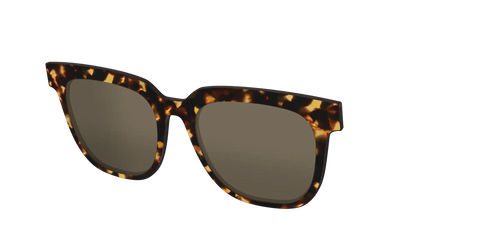 The Non-Polarized Tortoise Sun Top