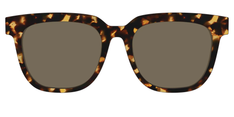 The Non-Polarized Tortoise Sun Top
