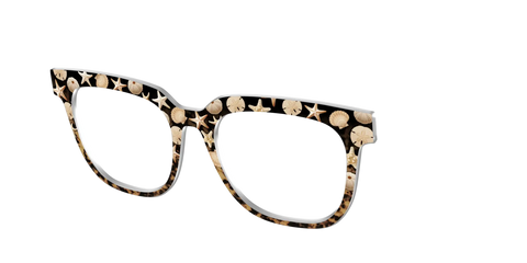 The Ocean Treasures Tortoise