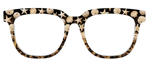 The Ocean Treasures Tortoise