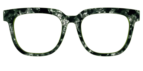 The Olive Pearl Tortoise