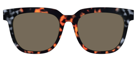 The Polarized Gray & Amber Tortoise Sun Top