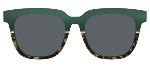 The Polarized Spruce Tortoise Sun Top