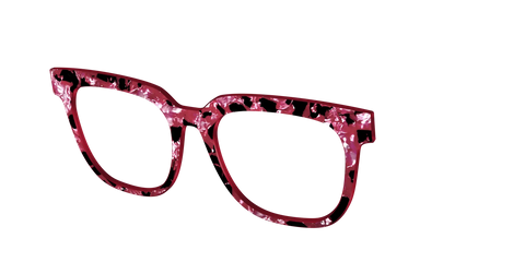 The Raspberry Pearl Tortoise