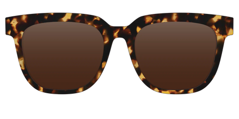 The Polarized Tortoise Sun Top
