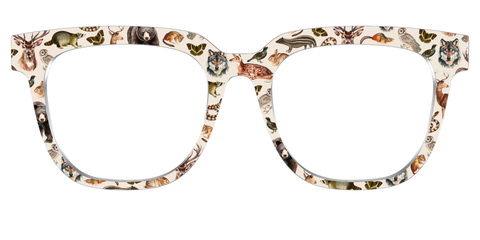 The Wildlife Illustrations