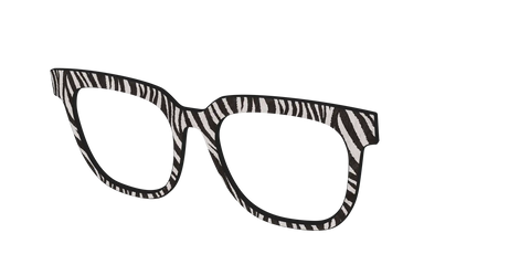 The Zebra Stripes