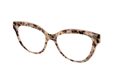 The Almond Tortoise with Gold Streaks