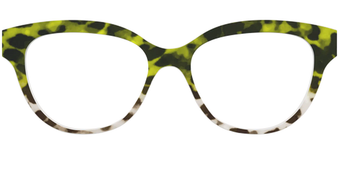 The Avocado to Ivory Tortoise