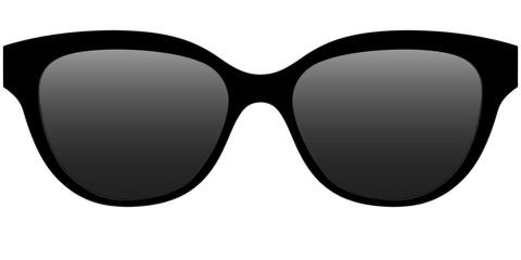 The Polarized Black Sun Top