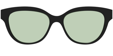 The Black With Sage Green Lens