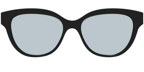 The Black With Slate Blue Lens