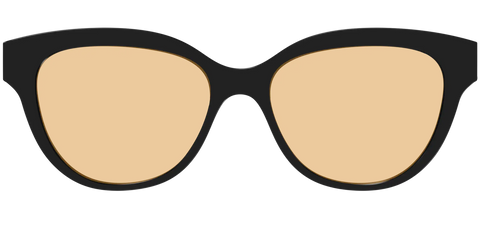 The Black With Umber Brown Lens