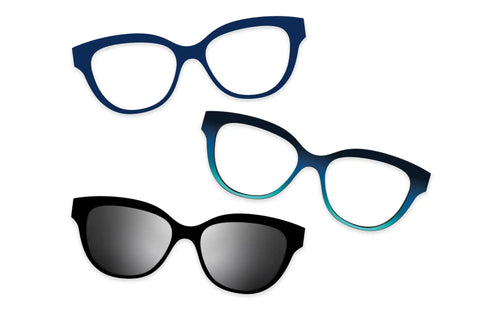 Blue Tortoise - Set