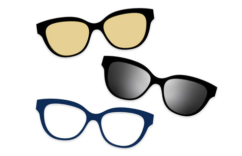 The Bold Staples Set