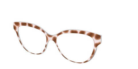 The Caffé Tortoise