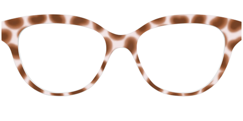 The Caffé Tortoise