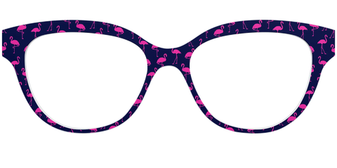 The Navy Flamingos