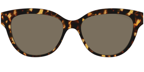 The Non-Polarized Tortoise Sun Top