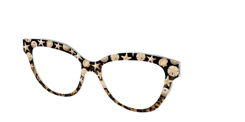 The Ocean Treasures Tortoise