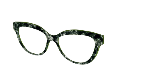 The Olive Pearl Tortoise