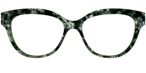 The Olive Pearl Tortoise