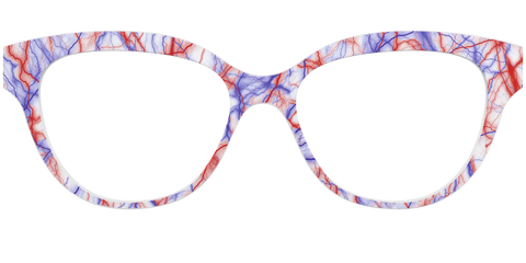 The Pair's Anatomy