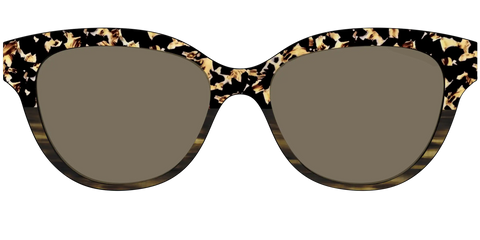 The Polarized Caramel Tortoise Horn Split Sun Top