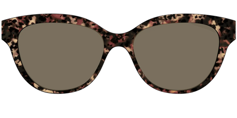 The Polarized Sienna Tortoise Sun Top
